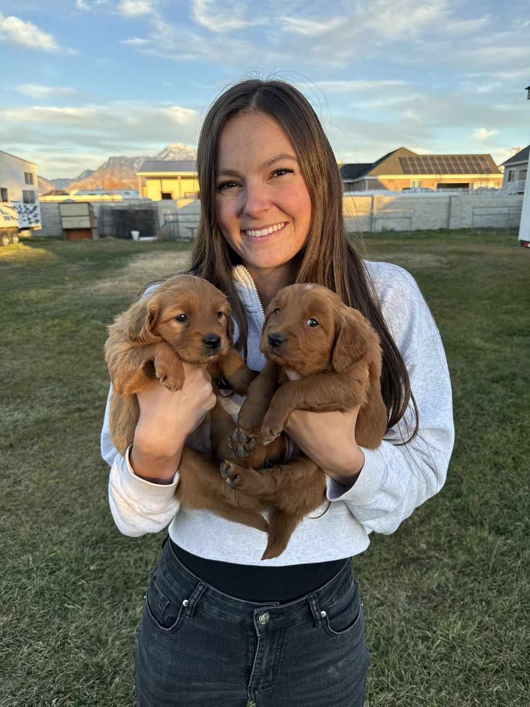 Reagan holding two red Mini Golden puppies